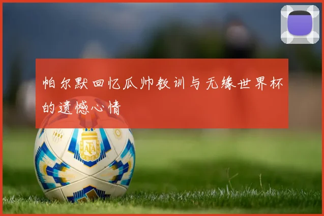 帕尔默回忆瓜帅教训与无缘世界杯的遗憾心情