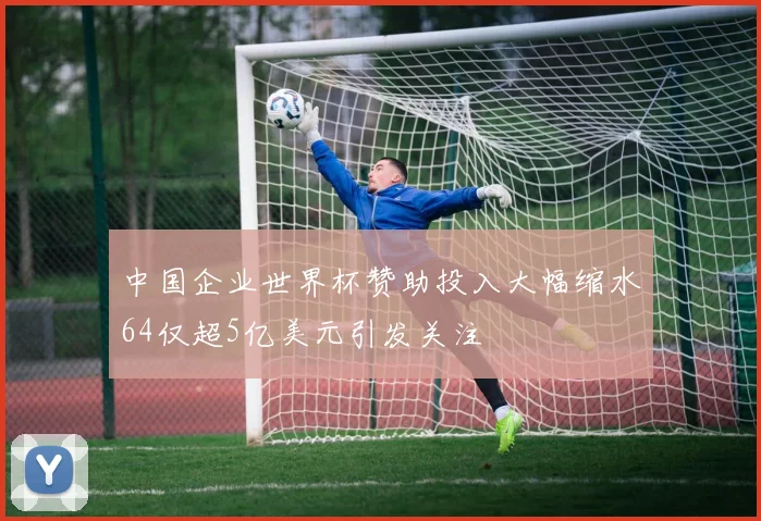 中国企业世界杯赞助投入大幅缩水64仅超5亿美元引发关注